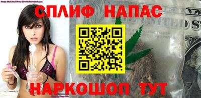 гидра Кингисепп