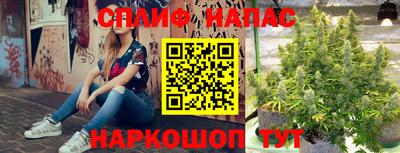 mdpv Кимры