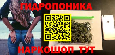гидра Кингисепп