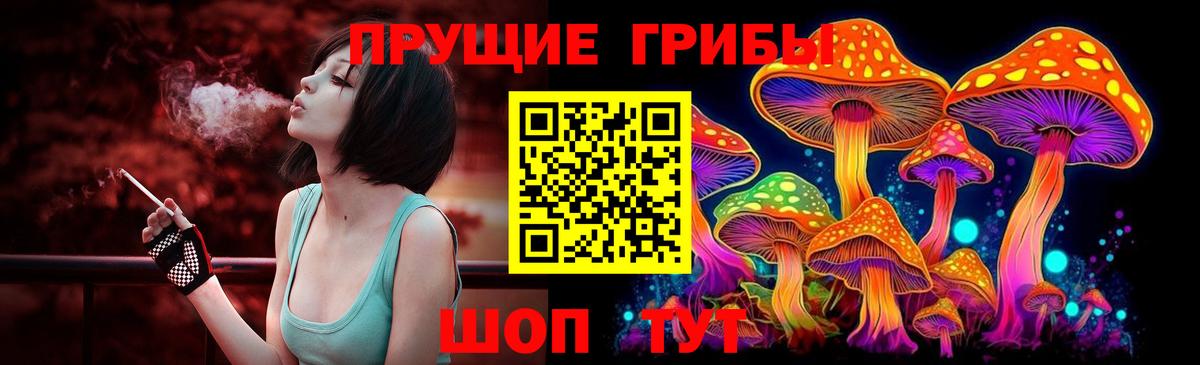 Псилоцибиновые грибы GOLDEN TEACHER  Галлюциногенные грибы Magic Shrooms  Гулькевичи  Вход с VPN 